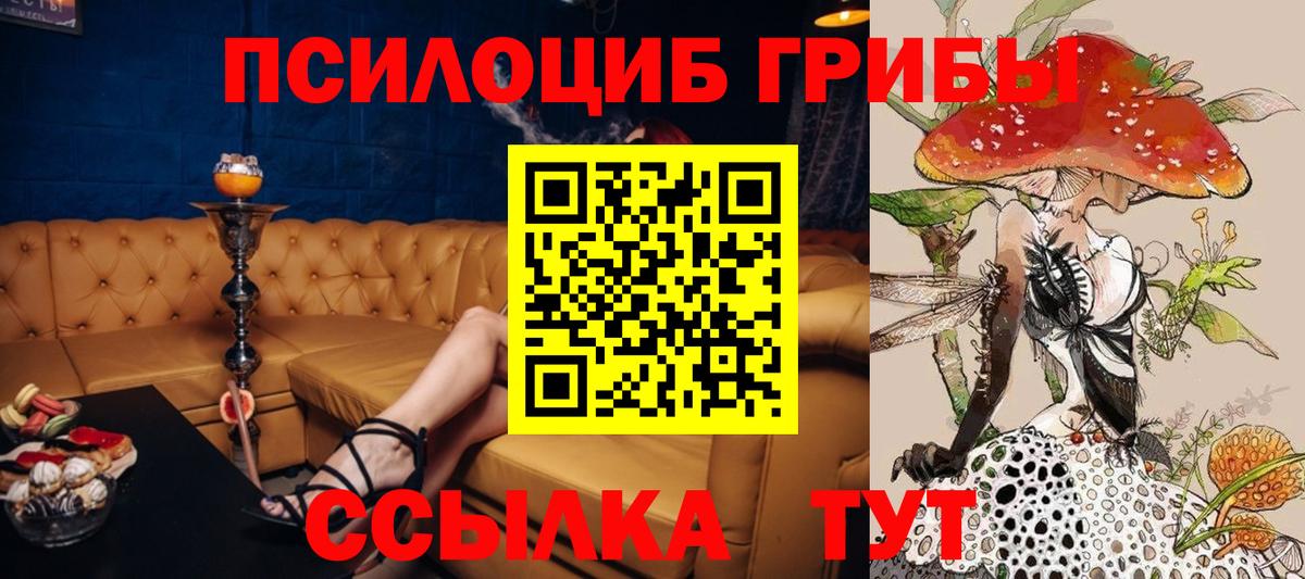 Псилоцибиновые грибы GOLDEN TEACHER Сергиев Посад